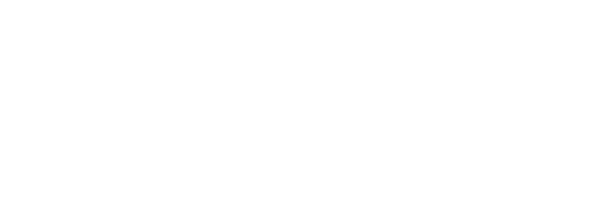 INEGI Logo