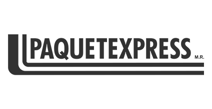PAQUETEXPRESS LOGO