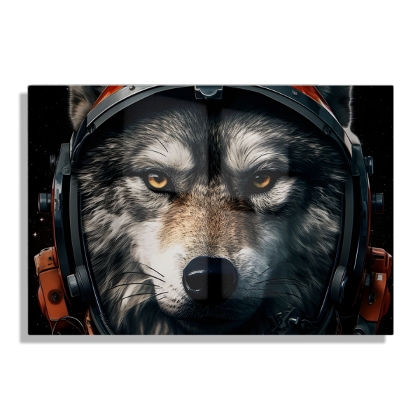 Cuadro Impreso Astronauta Animal