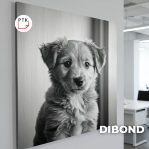 DIBOND